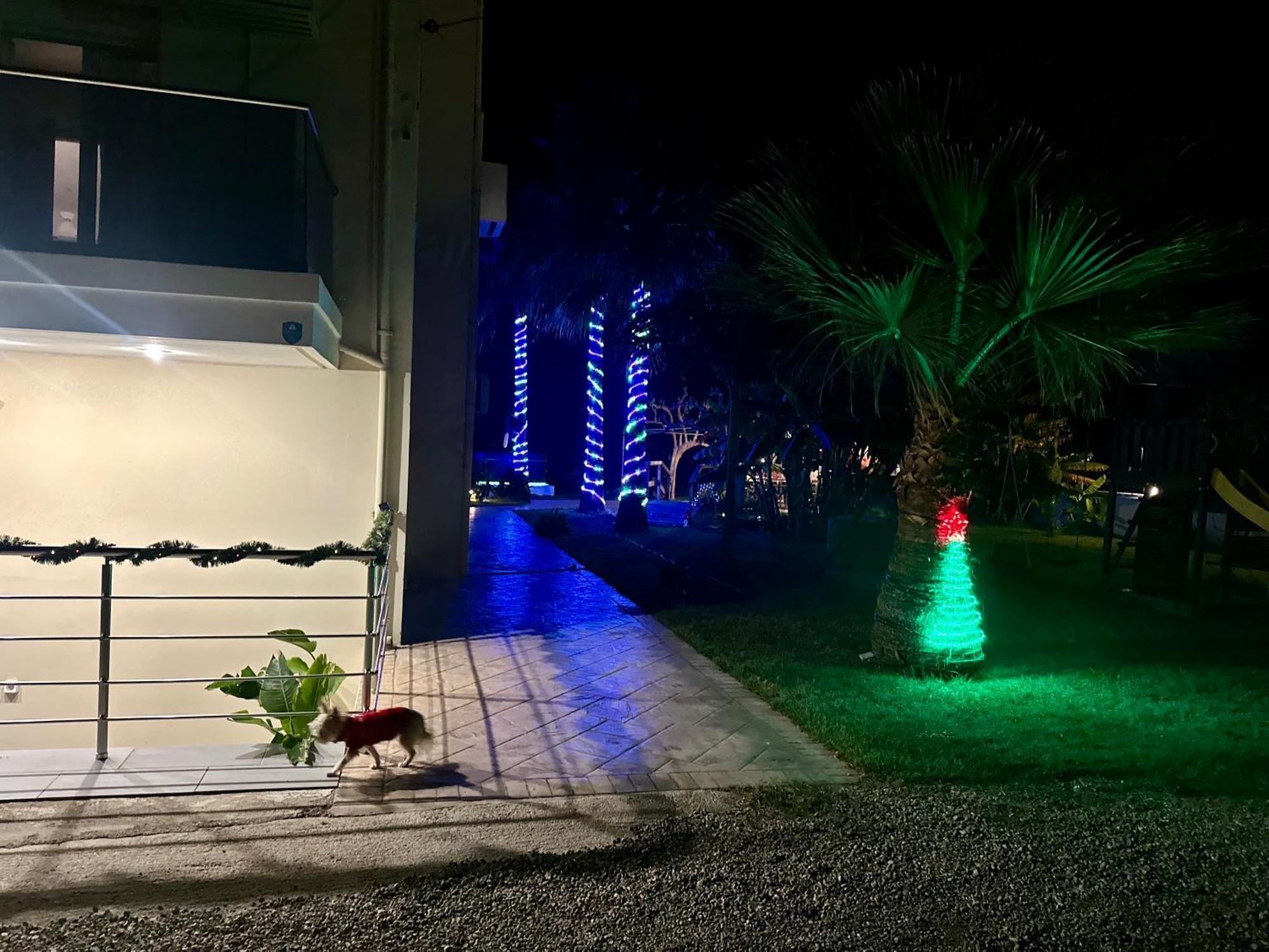 קיסאמוס Martimi Apartments - 200M From Drapanias Beach - Pool - Hot Tub - Sauna - Bbq מראה חיצוני תמונה