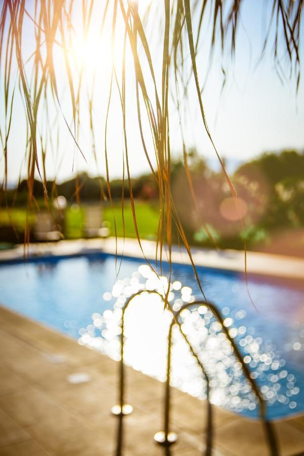 קיסאמוס Martimi Apartments - 200M From Drapanias Beach - Pool - Hot Tub - Sauna - Bbq מראה חיצוני תמונה
